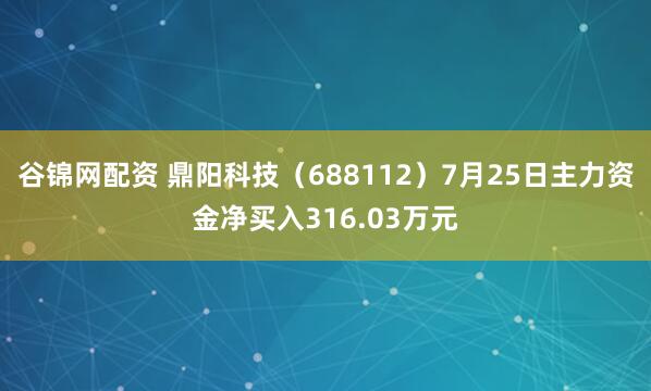 谷锦网配资 鼎阳科技（688112）7月25日主力资金净买入316.03万元