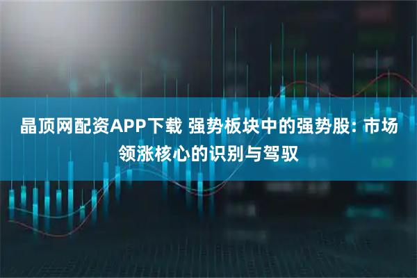 晶顶网配资APP下载 强势板块中的强势股: 市场领涨核心的识别与驾驭