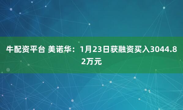 牛配资平台 美诺华：1月23日获融资买入3044.82万元