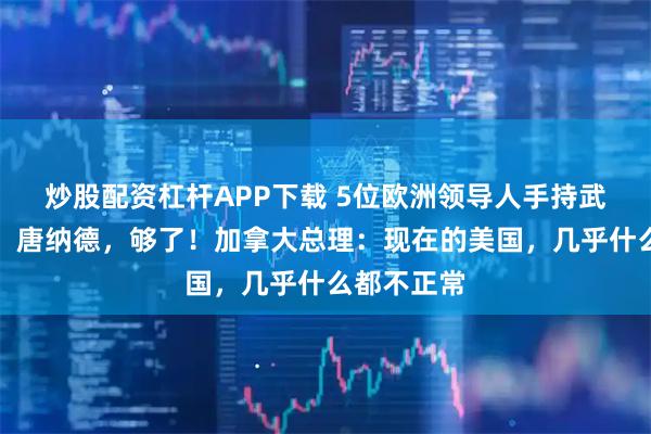 炒股配资杠杆APP下载 5位欧洲领导人手持武器，配文：唐纳德，够了！加拿大总理：现在的美国，几乎什么都不正常