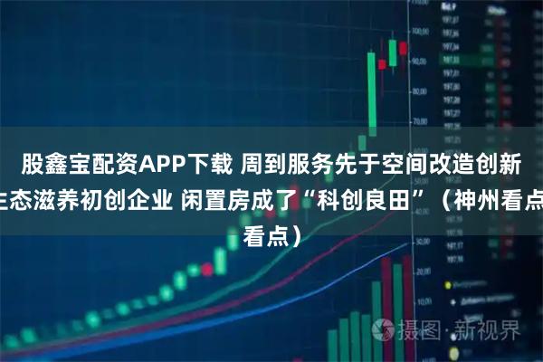 股鑫宝配资APP下载 周到服务先于空间改造创新生态滋养初创企业 闲置房成了“科创良田”（神州看点）